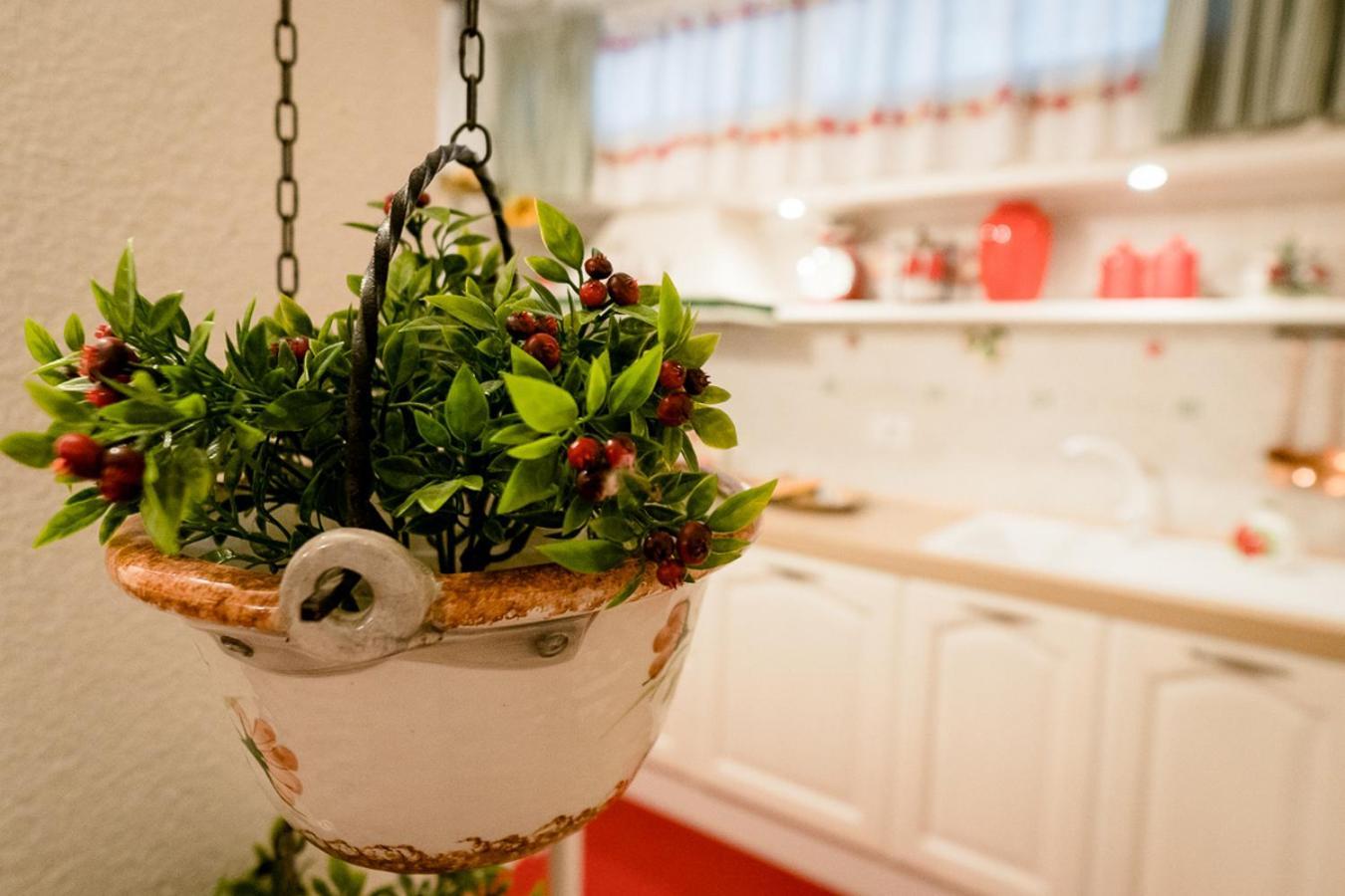 Appartamento Il Papavero Rosso Grosseto Exterior foto